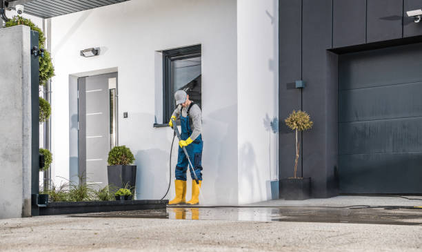 Best Fleet Vehicle Washing  in Troup, TX